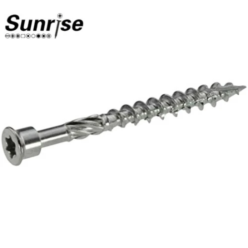 Stainless Steel Terrace Screw 4