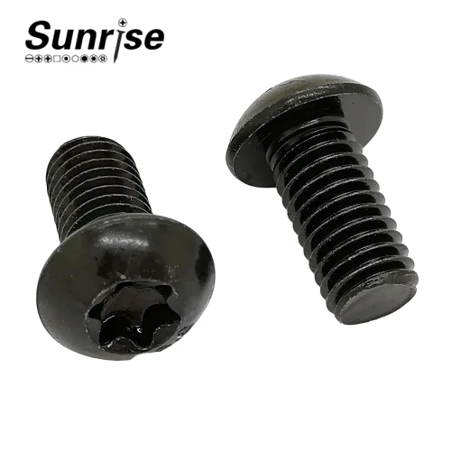 Șuruburi Torx T10 cu cap cilindric